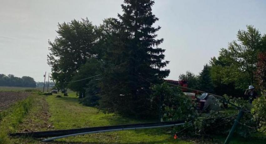 Downed power line in Midwest Electric territory