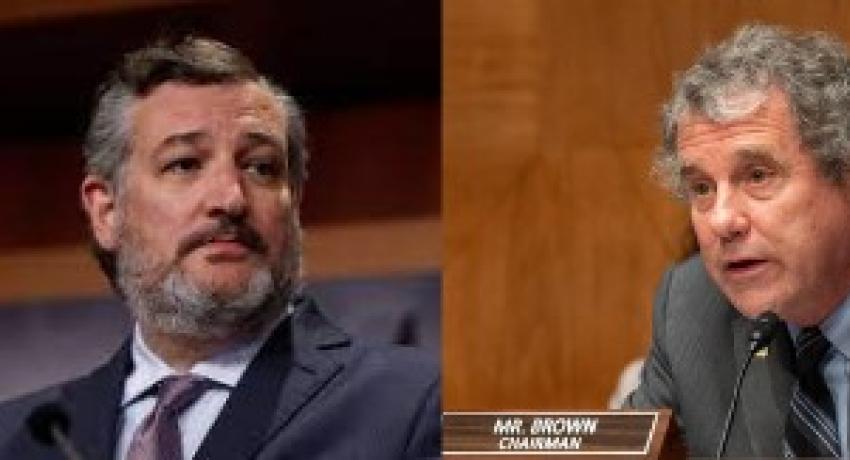 U.S. Senators Sherrod Brown (D-OH) and Ted Cruz (R-TX) introduced new legislation, The Distribution Transformer Efficiency & Supply Chain Reliability Act of 2024 to protect American energy independence and boost supply chains for transformers. 